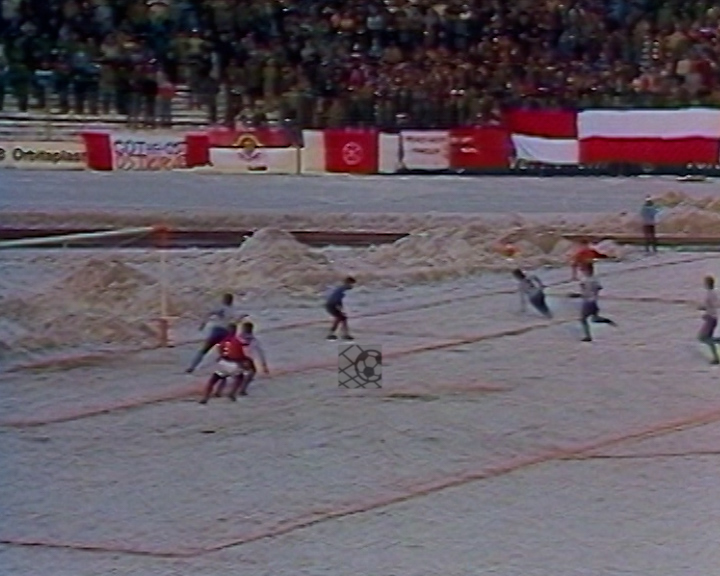 Panorama digital - Unsere Oberliga - Unser Verein - FC Rot Weiß Erfurt - Wir als Fans - Unsere Banner und Fahnen - Saison 1985/86