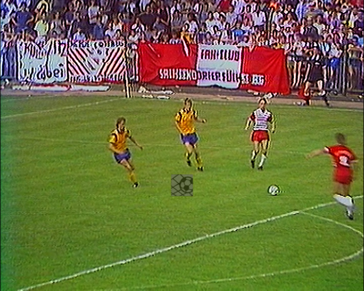 Panorama digital - Unsere Oberliga - Unser Verein - BSG Energie Cottbus - Wir als Fans - Unsere Banner und Fahnen - Saison 1988/89
