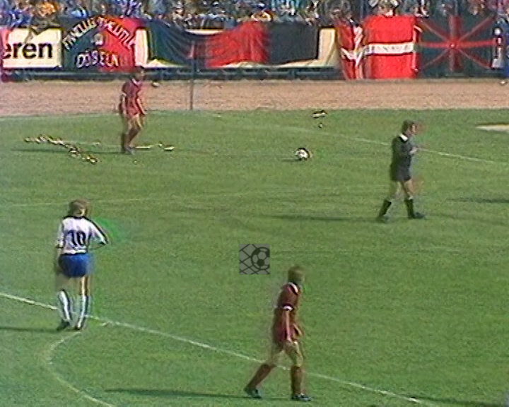 Panorama digital - Unsere Oberliga - Unser Verein - BSG Stahl Riesa - Wir als Fans - Unsere Banner und Fahnen - Saison 1987/88